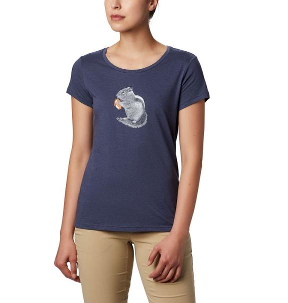 Columbia Hidden Lake T-Shirt Blue For Women's NZ49182 New Zealand